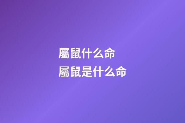 屬鼠什么命 屬鼠是什么命-第1張-觀點-玄機派